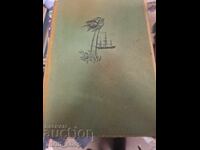 Maine Reed Jamaican Maroons