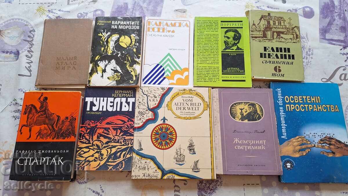 ✅ЛОТ РАЗЛИЧНИ РЕЧНИЦИ❗ - 5