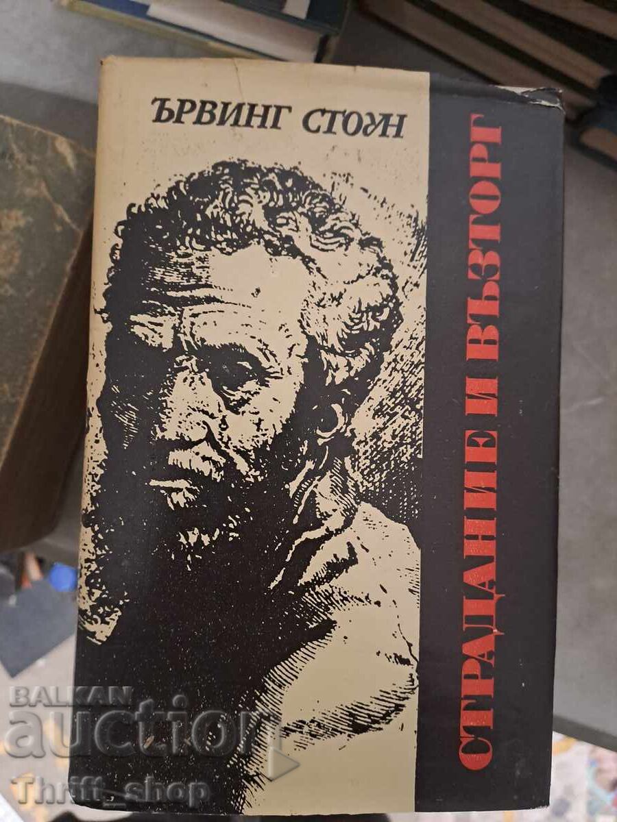 Βάσανα και αρπαγή Ίρβινγκ Στόουν