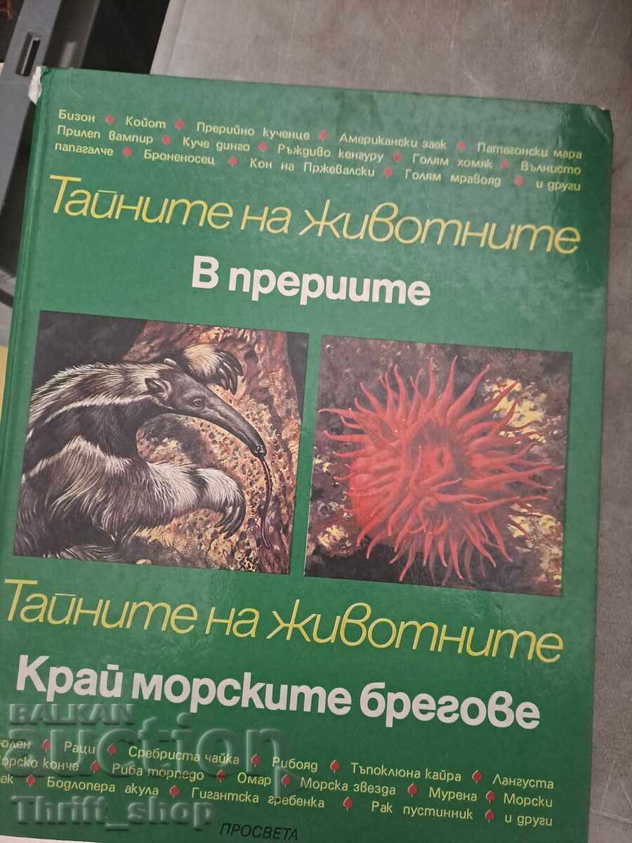 The Secrets of Animals in the Prairies