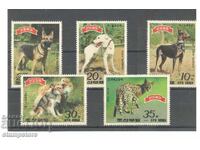 North Korea - Dogs