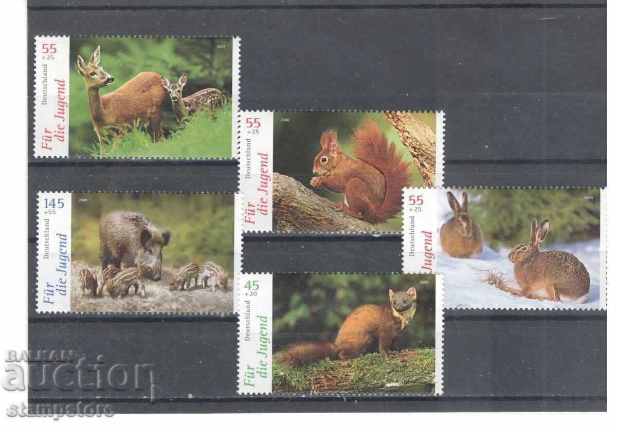 Germany - Forest Animals