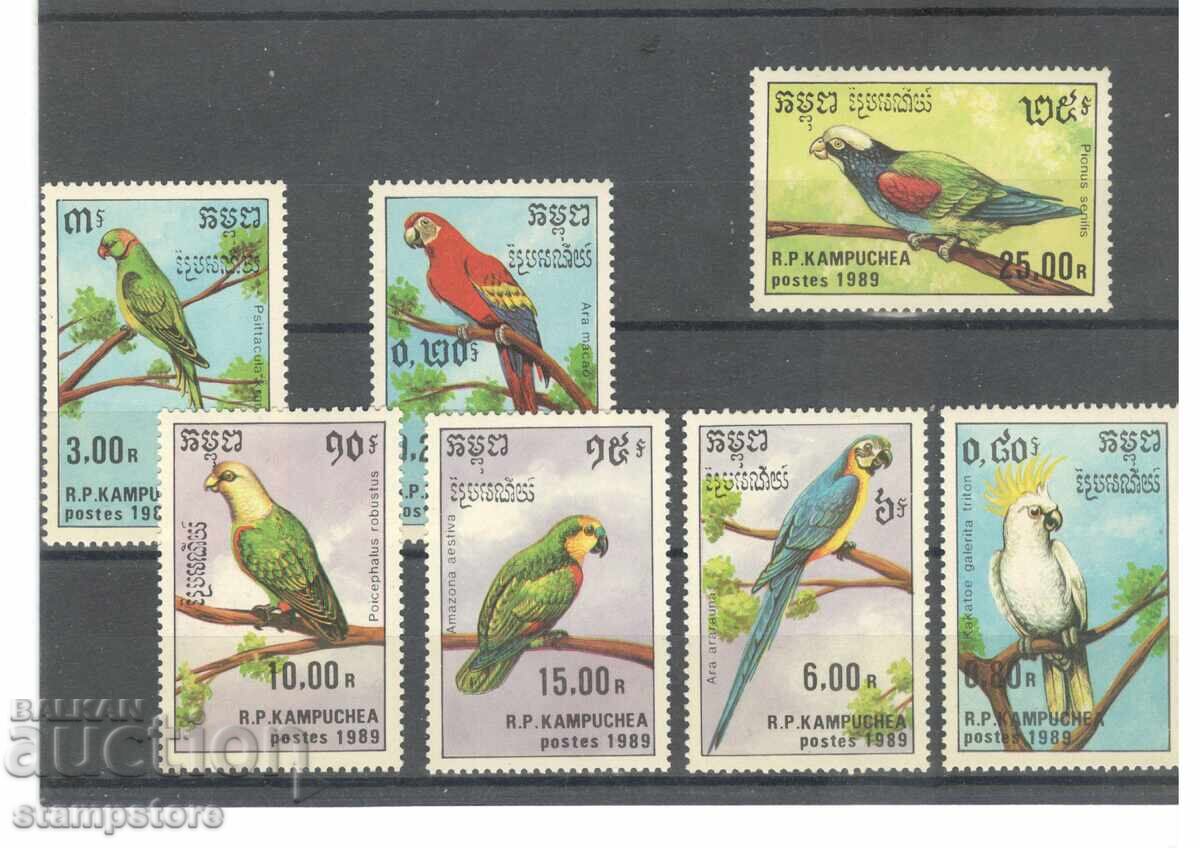 Cămpușie - Papagali