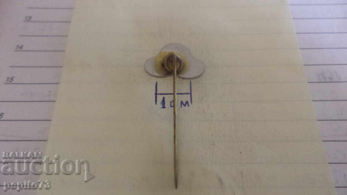 Livrarea Emblemă publicitară, Vară, companie de televiziune și radio