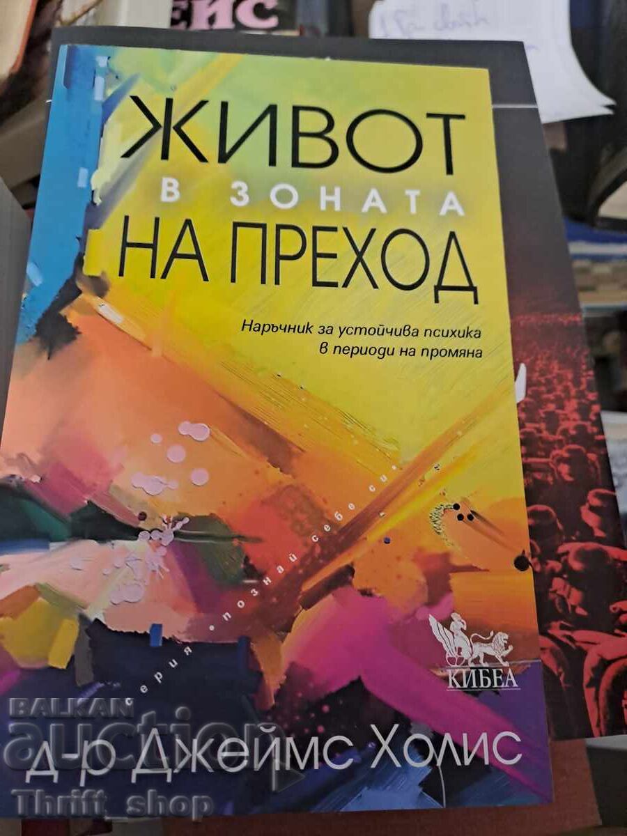 Life in the Transition Zone by James Hollis