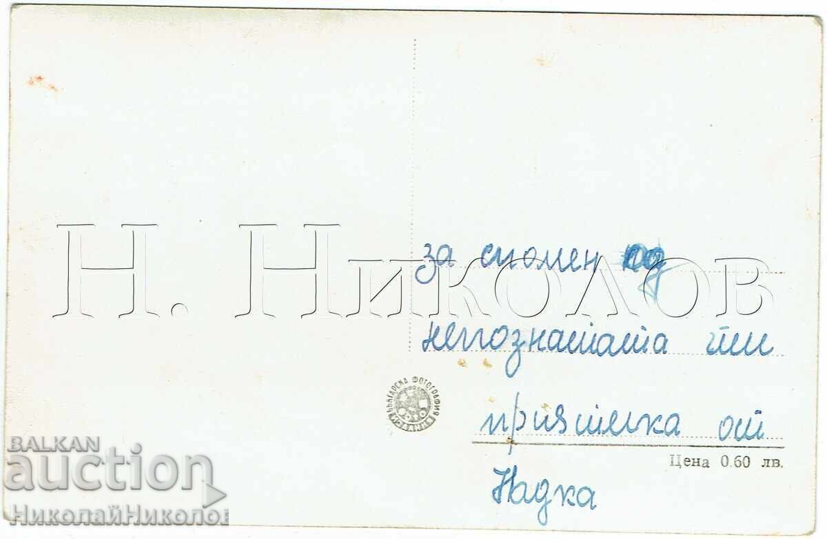 СТАРА КАРТИЧКА ИЗГЛЕД ОТ ПЕТРИЧ Ж251 с цена € 4.00 | 7.82 лв. СТАРА КАРТИЧКА ИЗГЛЕД ОТ ПЕТРИЧ Ж251 с цена € 4.00 | 7.82 лв.