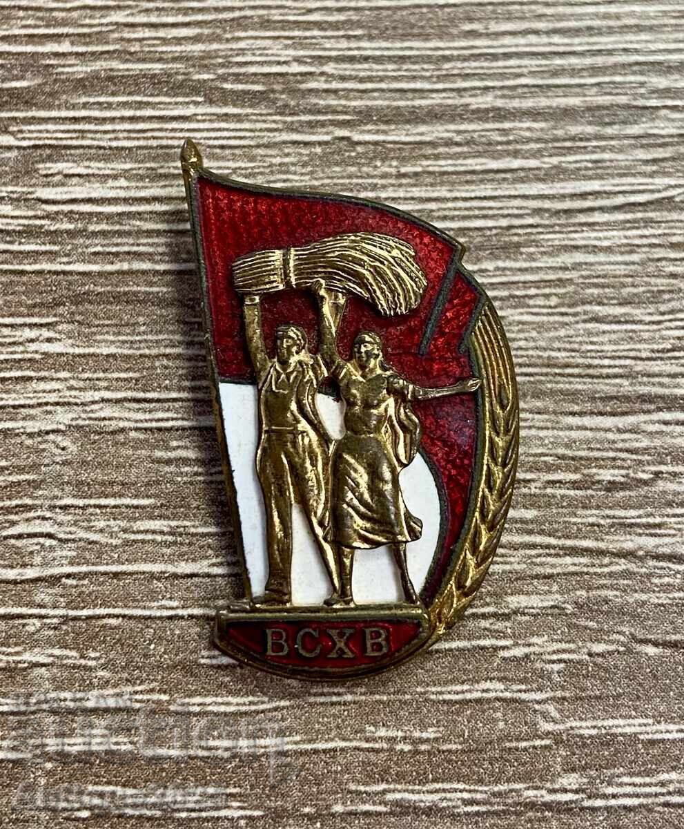 Emblem vintage „VSKhV“ URSS — alamă, email