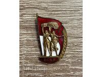 Emblem vintage „VSKhV“ URSS — alamă, email