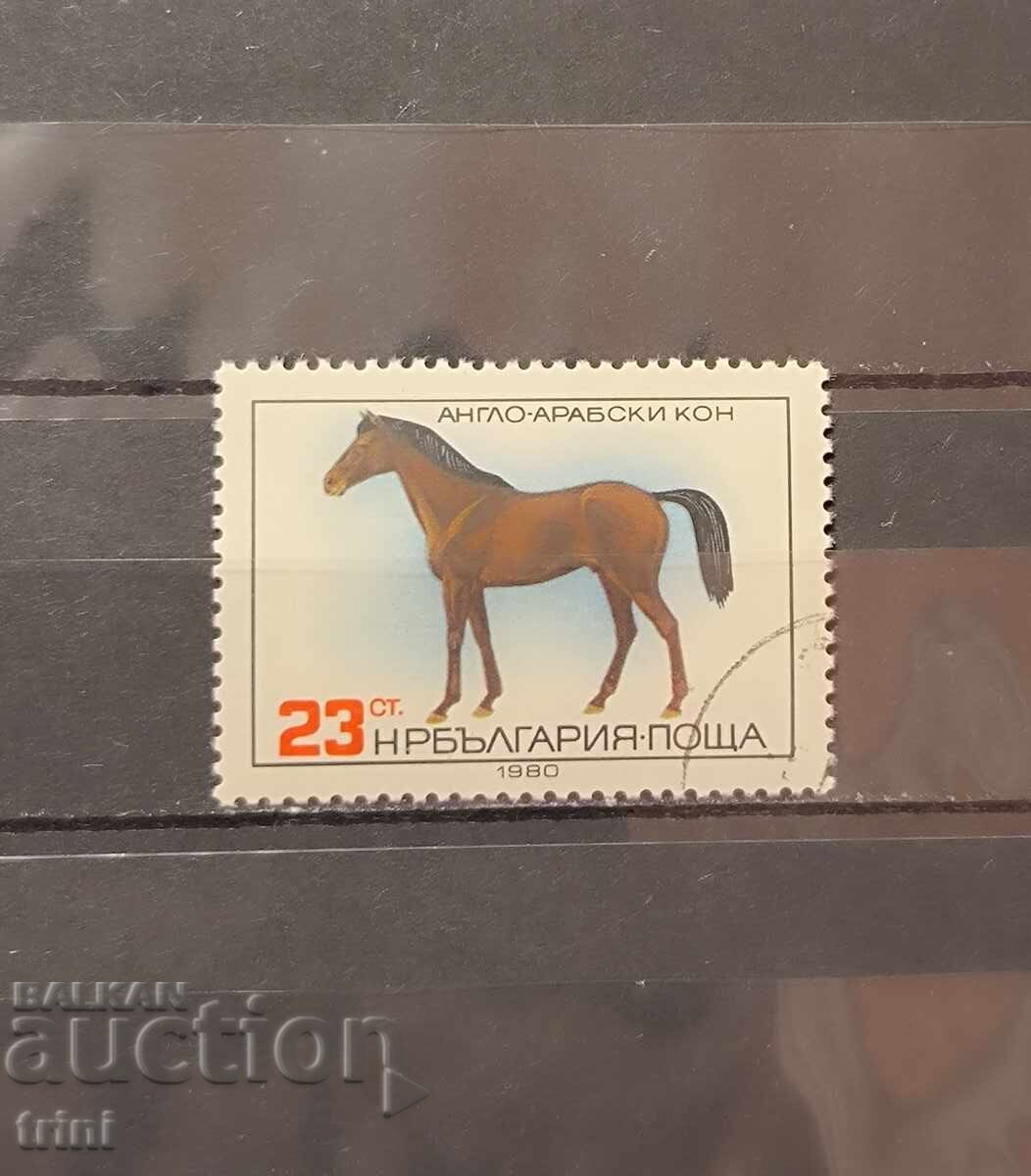 1980 (27 noiembrie) Cai