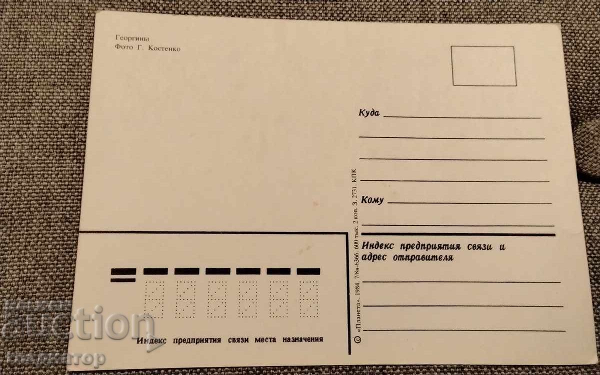 Veche felicitare retro rusească vază dali daia cu preț € 0.30 | 0.59 BGN