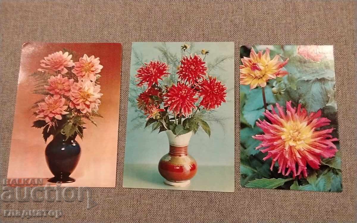 Licitație Veche felicitare retro rusească vază dali daia