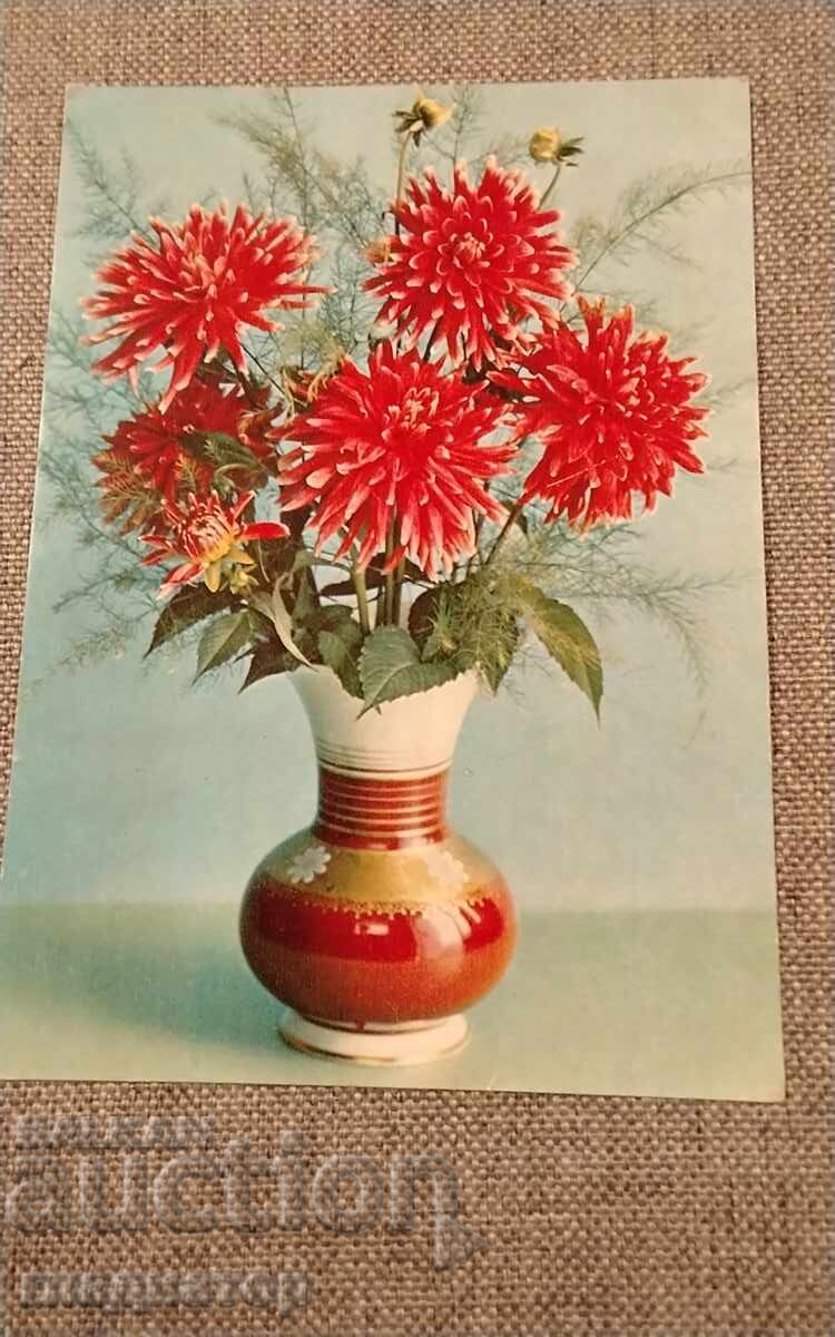 Veche felicitare retro rusească vază dali daia