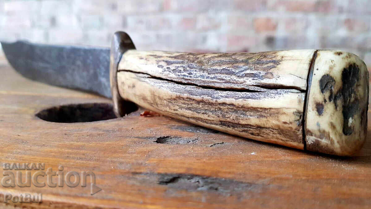 Licitație Cuțit vechi interesant cu mâner din os (cioc) și canelură