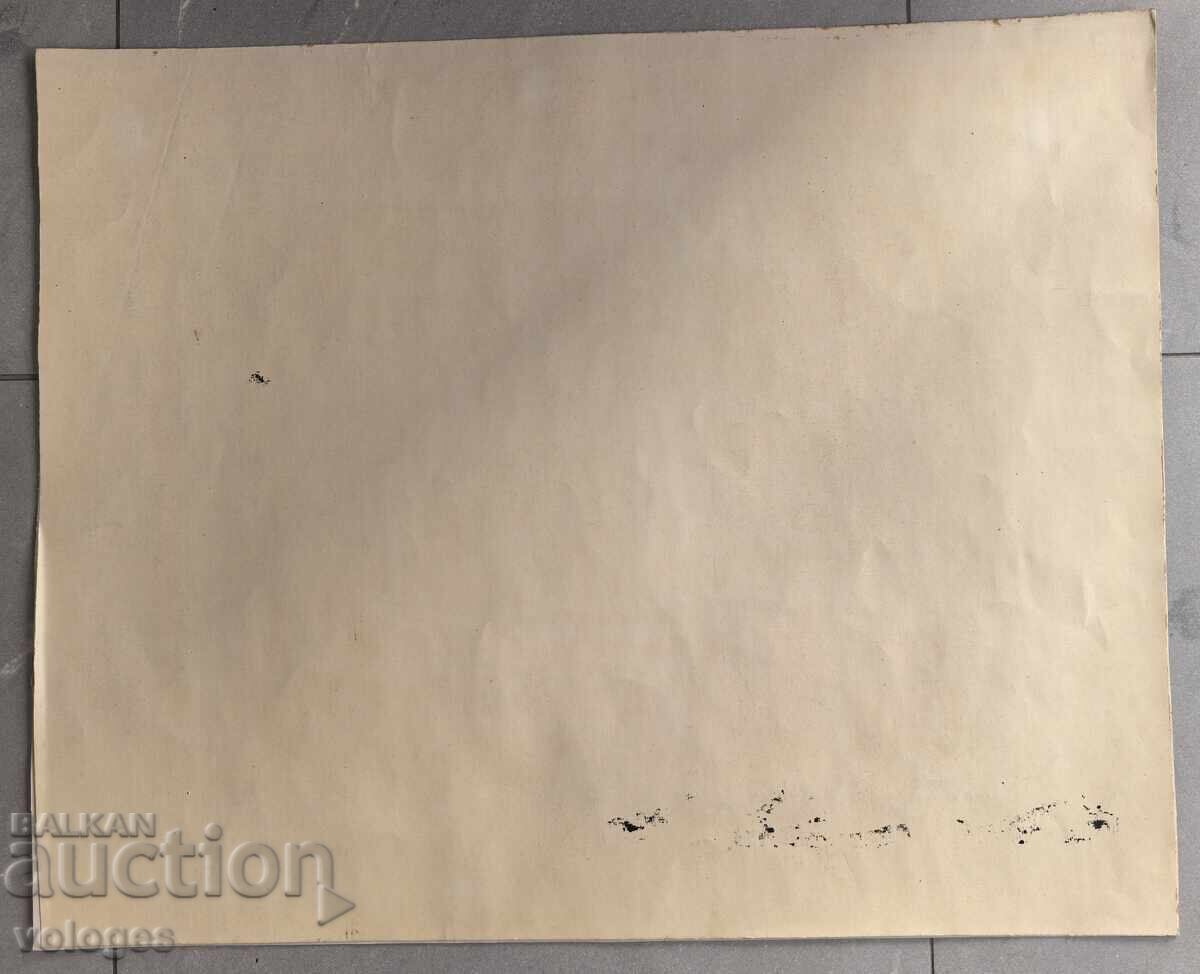 Evtim Tomov, Livadă cu vaci - 7