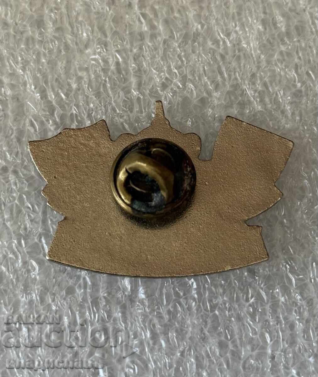 παλιά κονκάρδα WIMBLEDON FC - LIVERPOOL FC με τιμή € 75.00 | 146.69 BGN