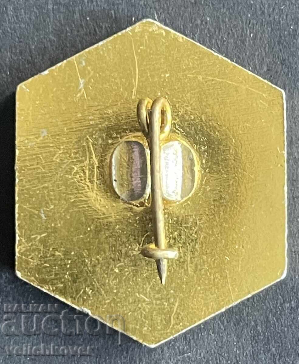 42932 Βουλγαρία σήμα εθνόσημο πόλη Σβίστοβ 70's με τιμή € 2.00 | 3.91 BGN