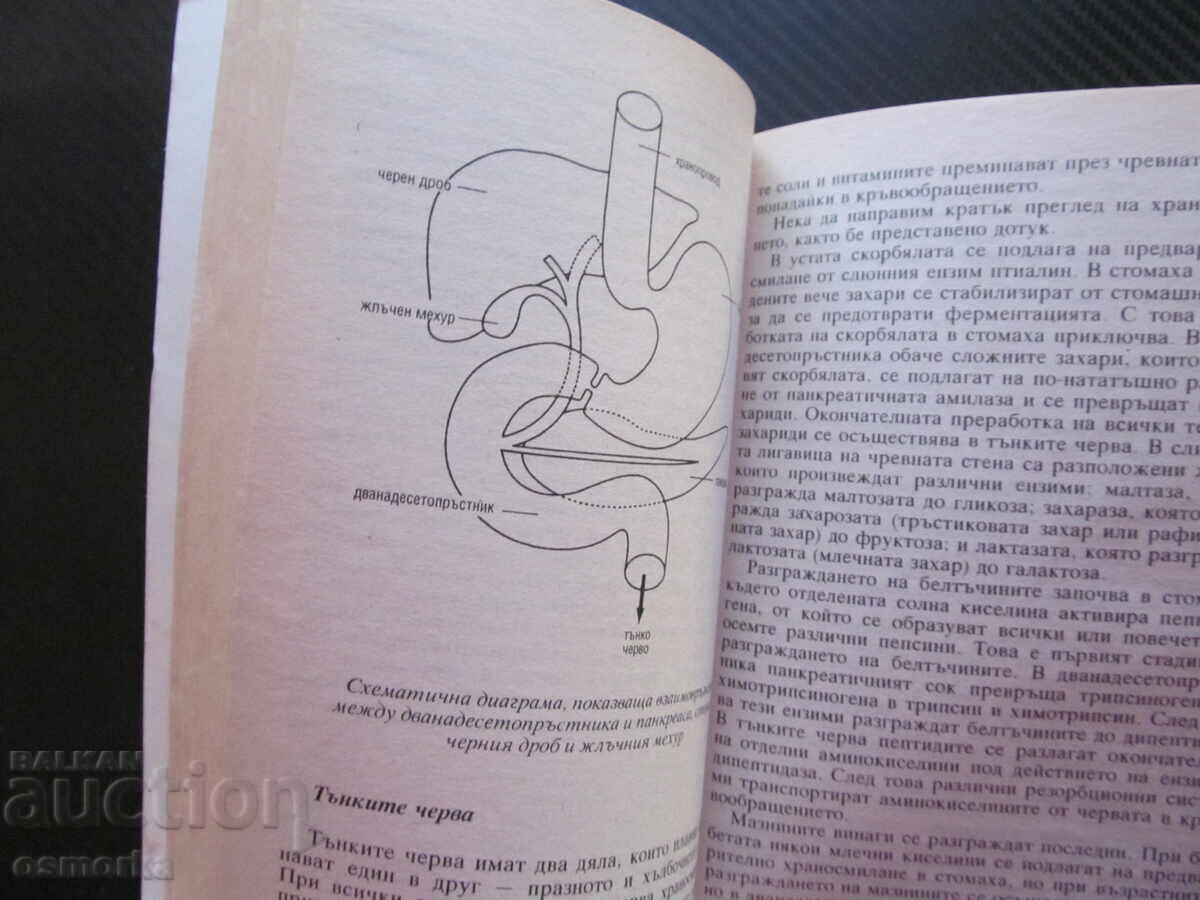 Principii de bază ale alimentației separate, diete sigure și verificate cu preț € 1.50 | 2.93 BGN