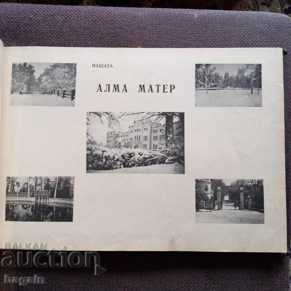 Junker Album. Military School - 7