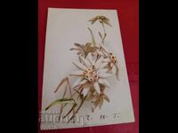 Старинна пощенска картичка