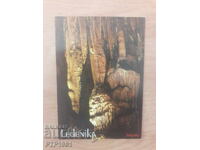 Ledenika Cave