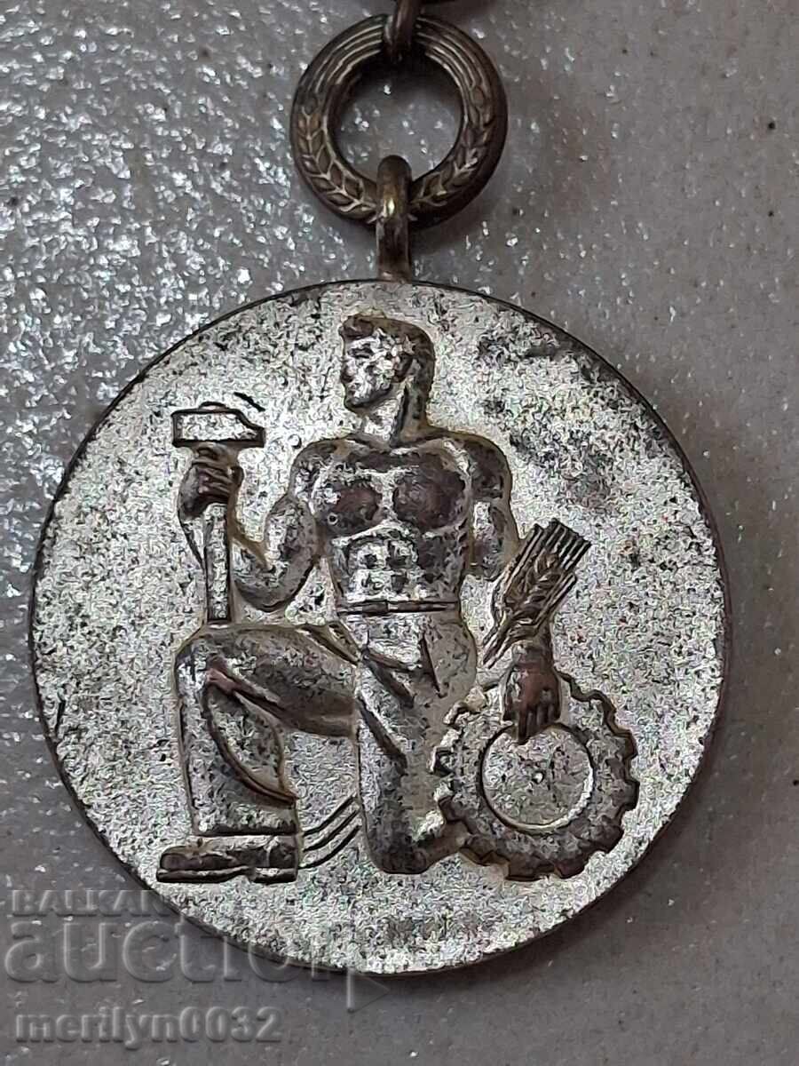 Ordinul Muncii prima emisie, medalie, insignă de piept - 6