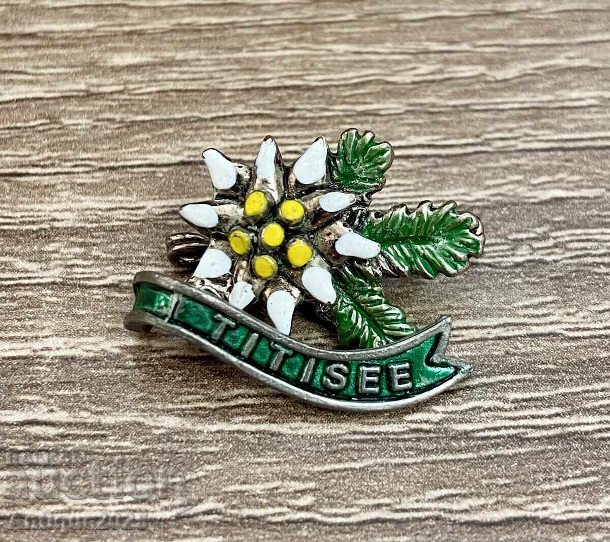 Vintage Enamel Souvenir Brooch-Badge "Edelweiss"