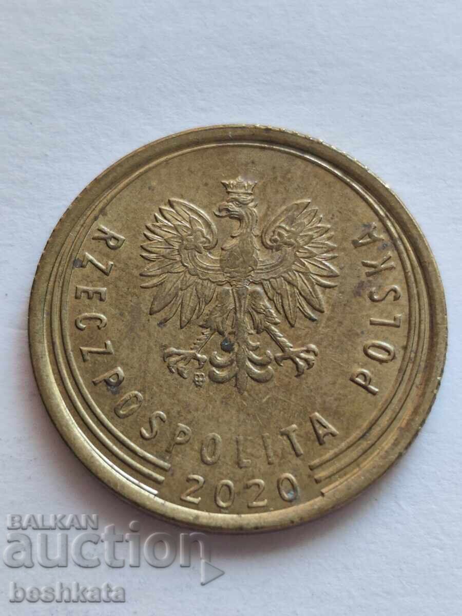 Πολωνία - 5 γρόσια (2020)