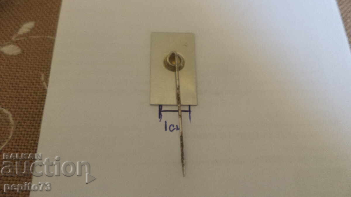 Delivery of Advertising badge, C. Jamin, confectionery brand Delivery of Advertising badge, C. Jamin, confectionery brand