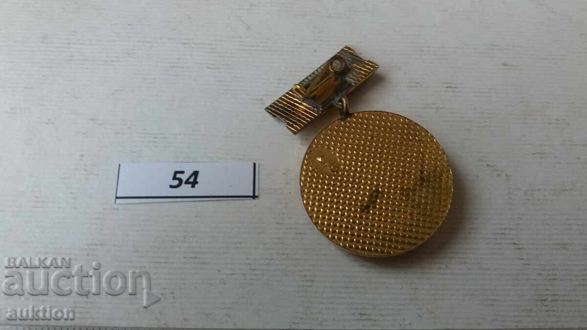 Semn de piept insignă medalie EXCELENT MULTE premiu BNA NRB - 6