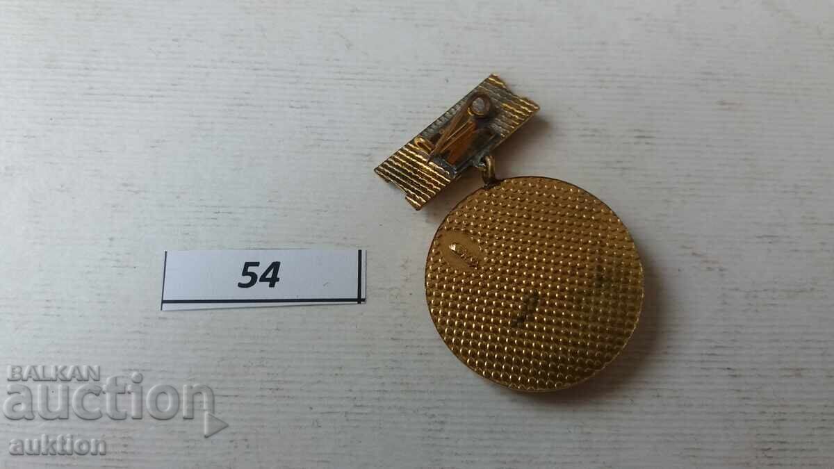 Semn de piept insignă medalie EXCELENT MULTE premiu BNA NRB - 7