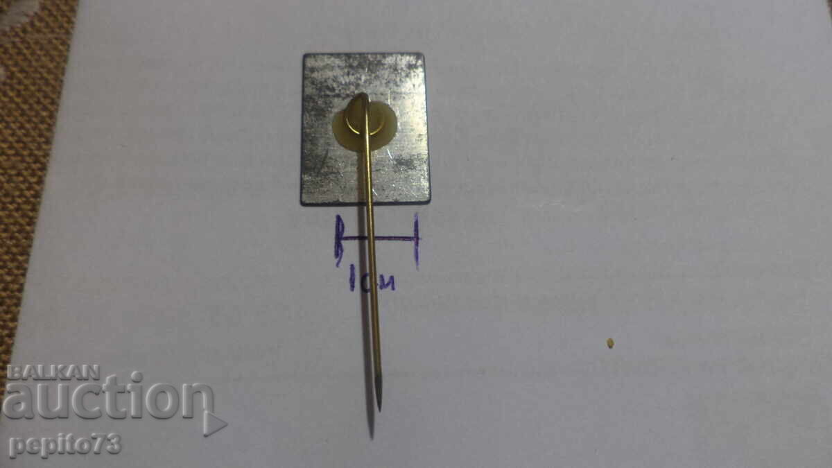 Delivery of Advertising badge, ROYCO, brand of instant soups