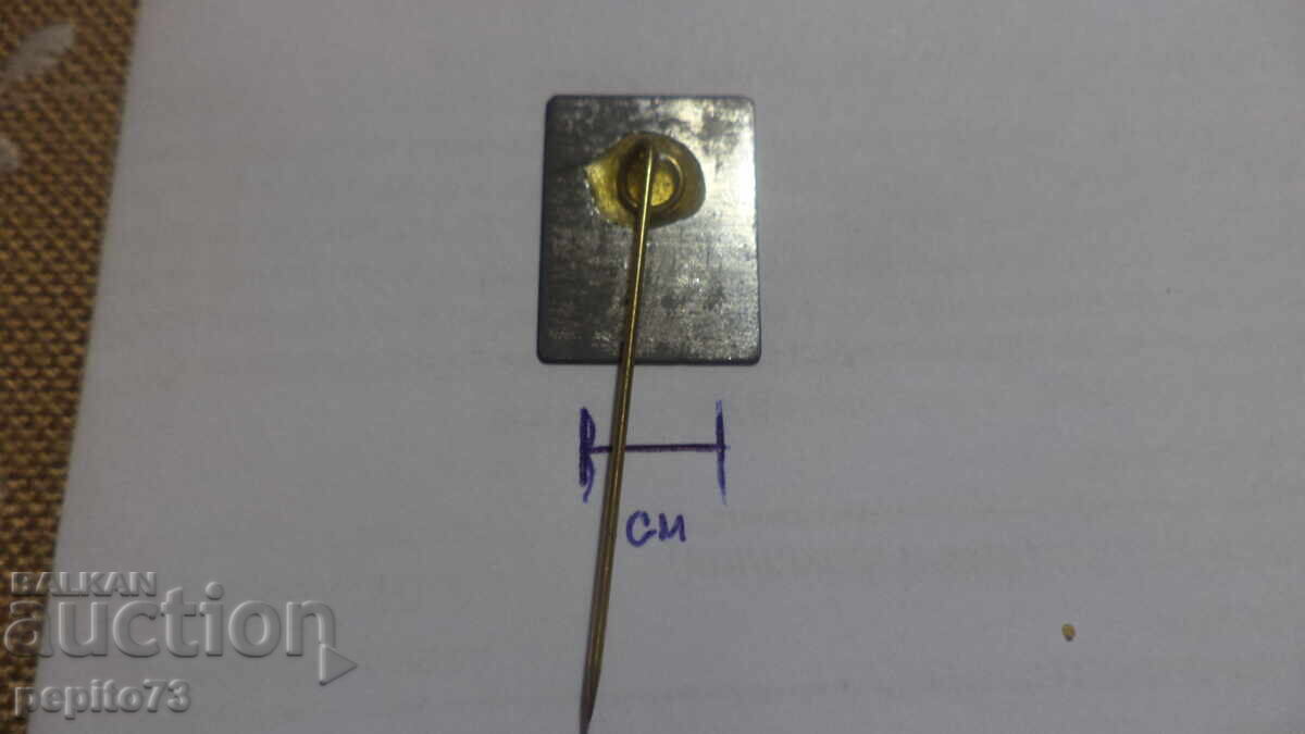 Livrarea Reclamă insignă, ROYCO, marcă supe instant Livrarea Reclamă insignă, ROYCO, marcă supe instant