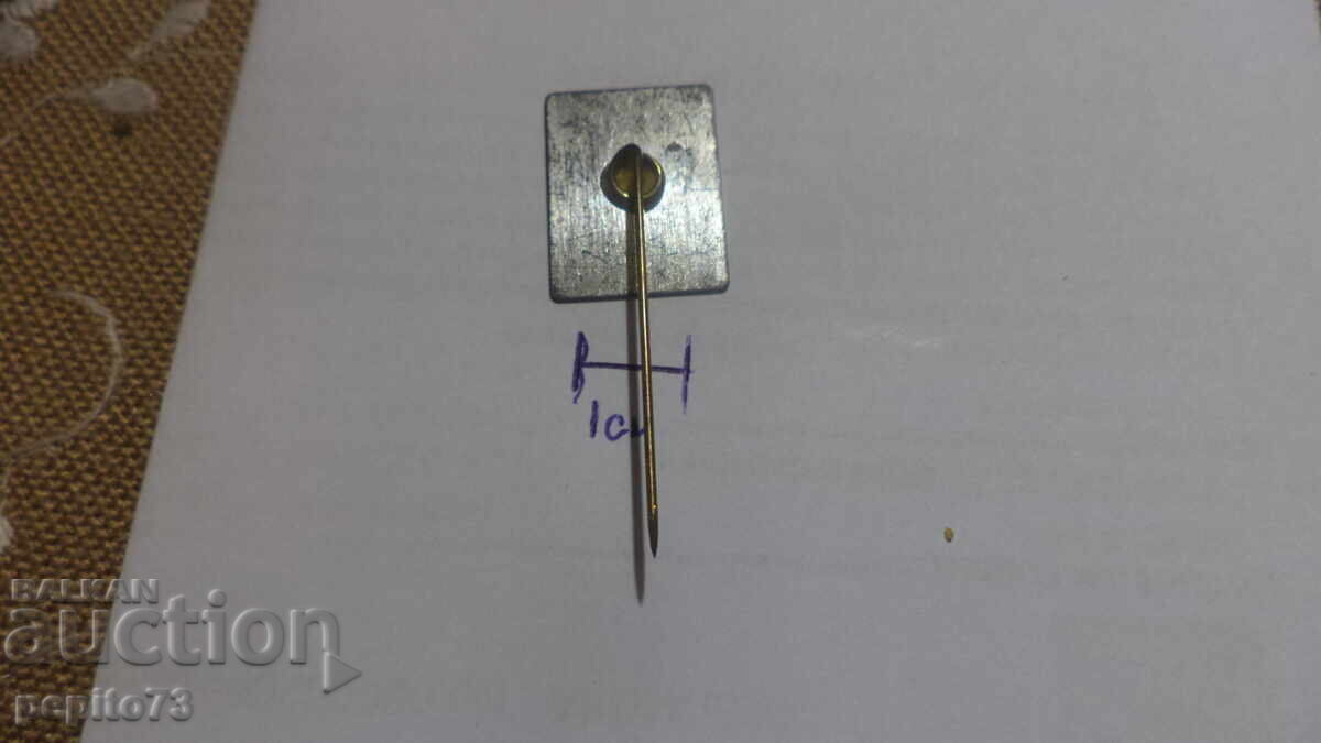 Advertising badge, ROYCO, brand of instant soups - 5