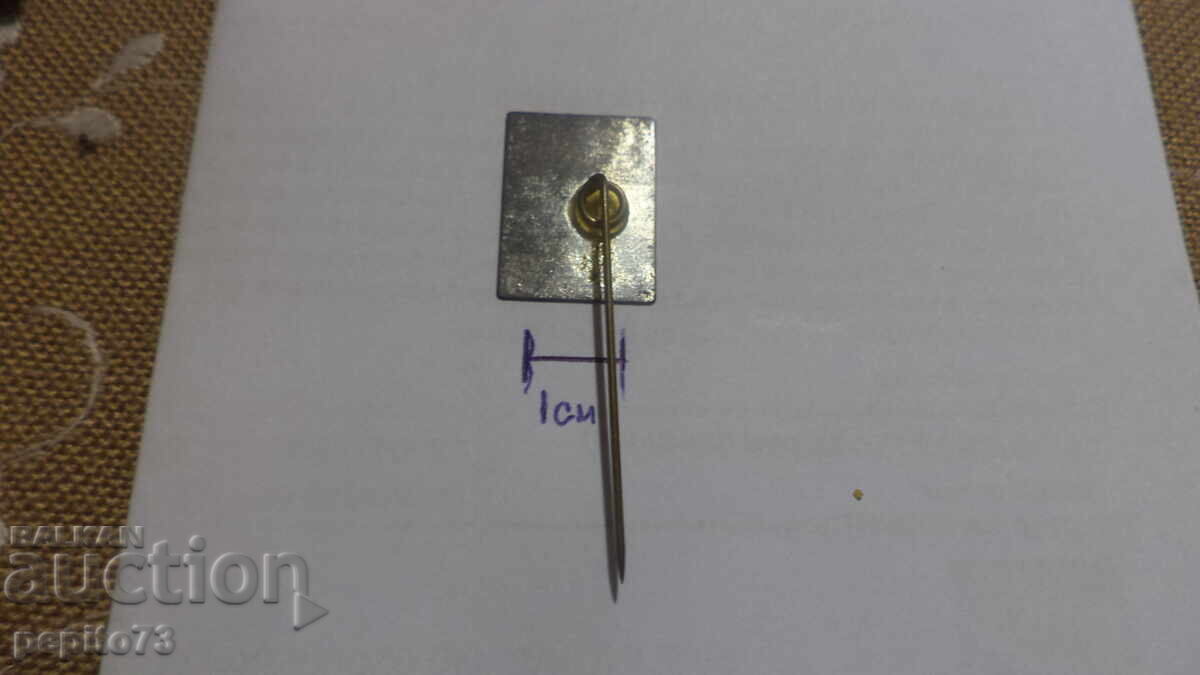 Livrarea Reclamă insignă, ROYCO, marcă supe instant