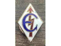 42981 SSSR semn sportiv club DSO Energia email pe șurub anii '50