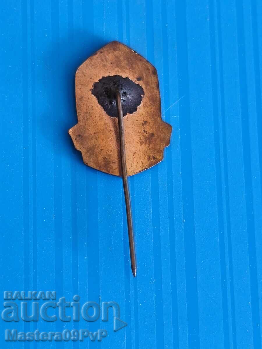 Значка-бронземайлова с цена € 3.50 | 6.85 лв.