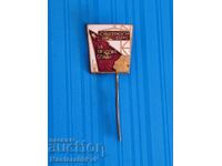 Insigă-bronz-mailovă