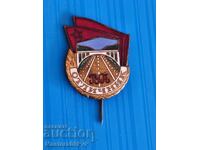 Insigă-bronz-mailovă