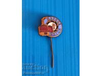 Insigă-bronz-mailovă