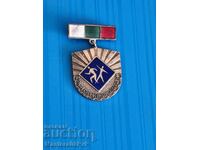 Insigă-bronz-mailovă