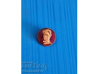 Insigă-bronz-mailovă