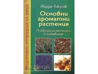 Βασικά αρωματικά φυτά: 19 σύγχρονες τεχνολογίες για
