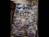 Doar cu zăpadă Nicolae Milchev