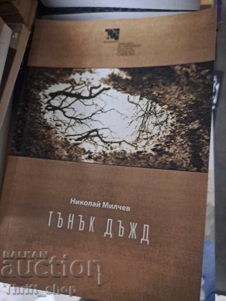 Ploaie fină de Nicolae Milchev