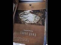 Ploaie fină de Nicolae Milchev