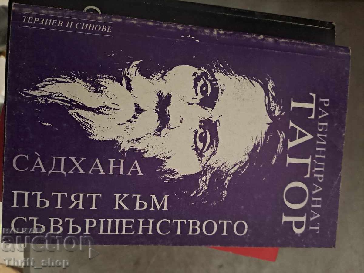 Calea Sadhana către perfecțiune