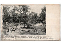 Βουλγαρία, Η ομάδα του βοεβόδα Γκεόργκι Τρανκίν ..., σπάνιο