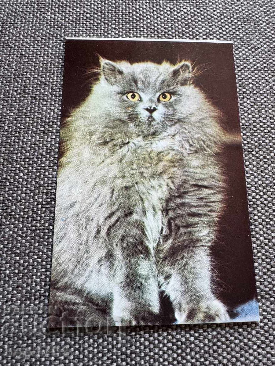 5 calendarușe sociale cu animale - 5