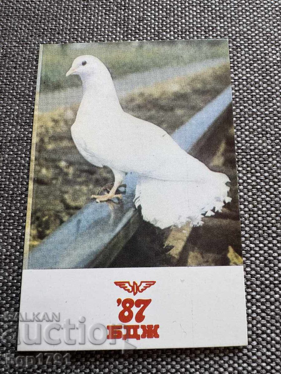 5 calendarușe sociale cu animale - 6