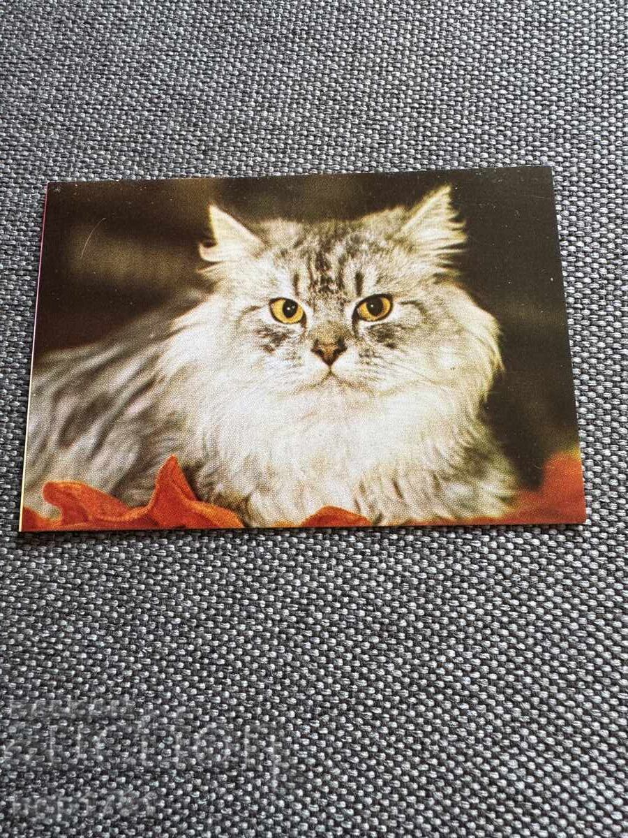 5 calendarușe sociale cu animale - 7